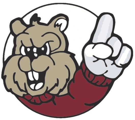 Chatfield Secondary School Logo